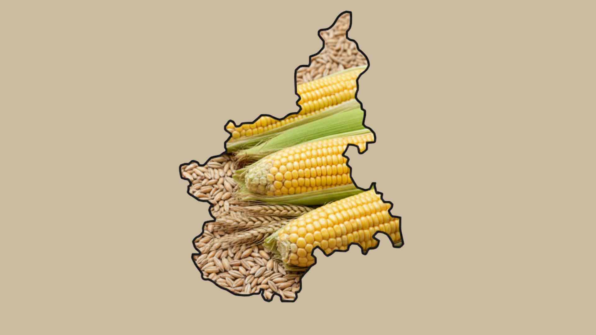 regione piemonte (2)