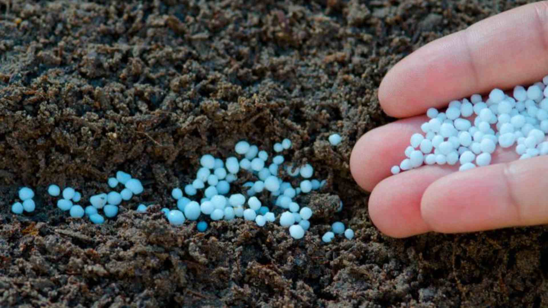 fertilizzanti